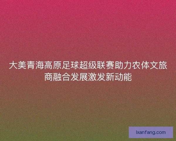 大美青海高原足球超级联赛助力农体文旅商融合发展激发新动能
